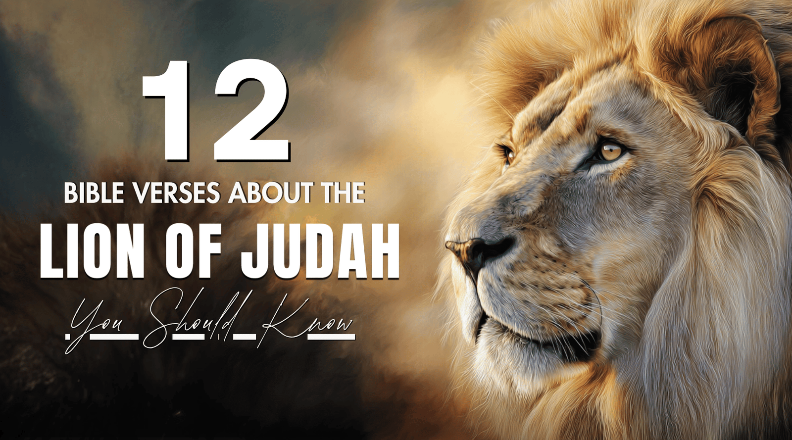 12 Powerful Bible Verses About The Lion Of Judah you should know