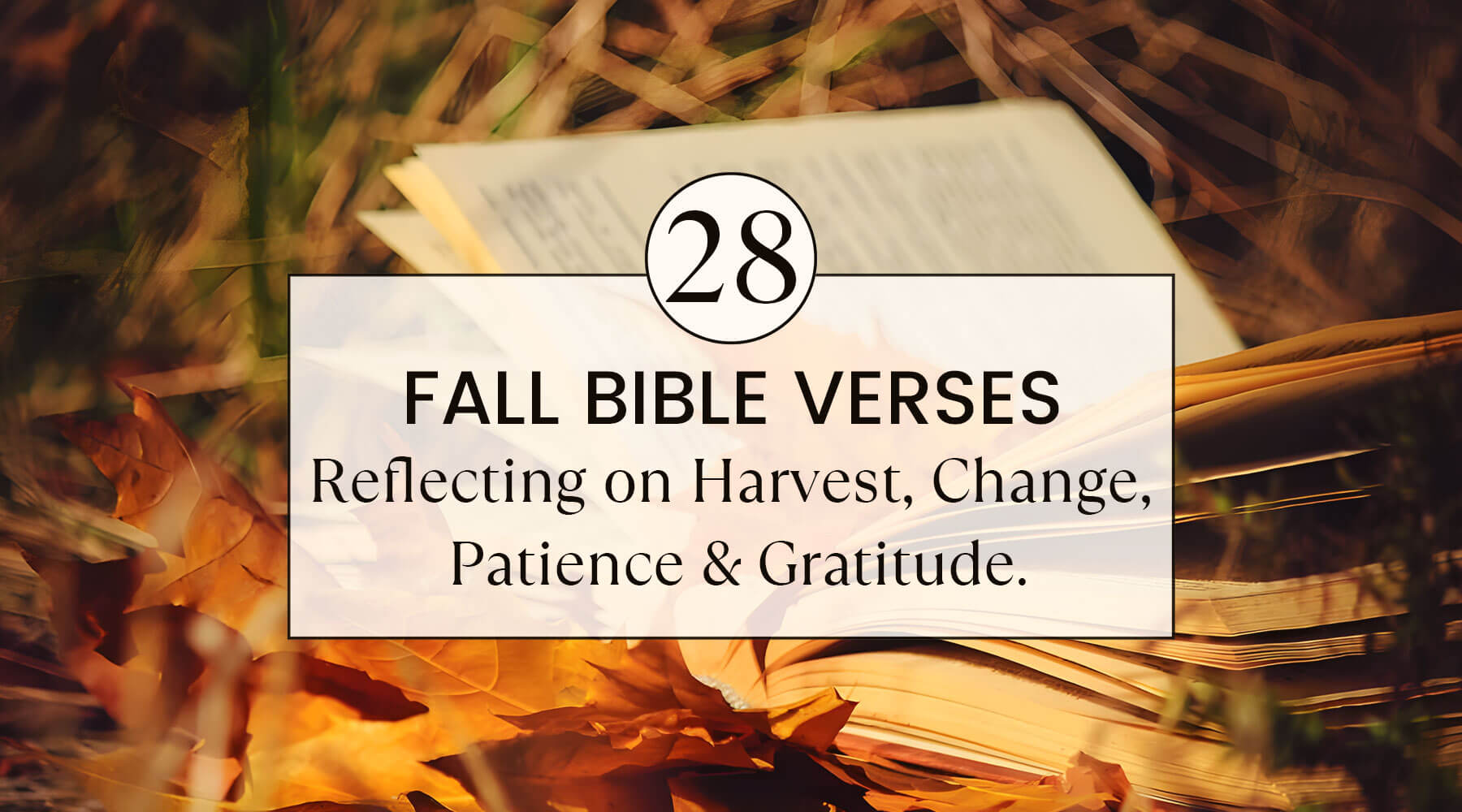 28 fall bible verses