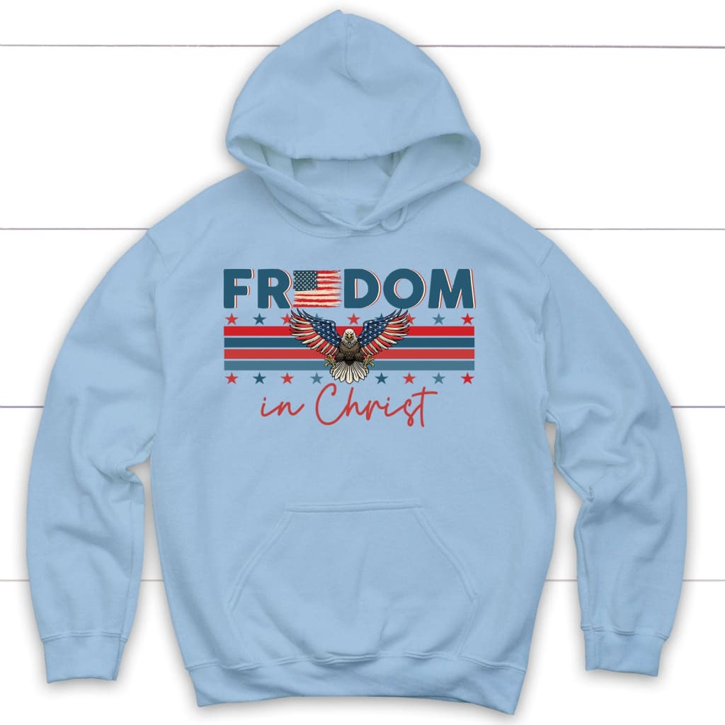 Light blue american online eagle hoodie