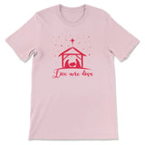 Christian Christmas Shirts: Love came down Jesus born t-shirt Pink / S