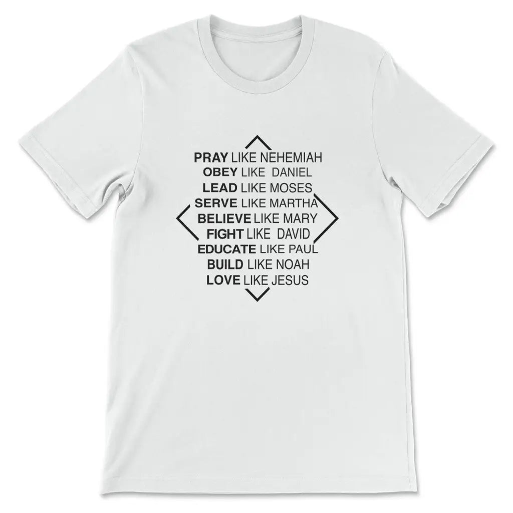Christian t-shirts: Pray like Nehemiah obey like Daniel t-shirt White / S