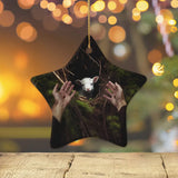 Jesus’ Hand Reaching Out to Rescue a Lamb Ornament Star / 1-pack