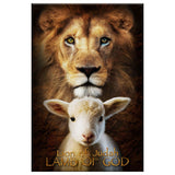 Christian Wall Art, Lion of Judah and Lamb of God stand together wall art canvas print