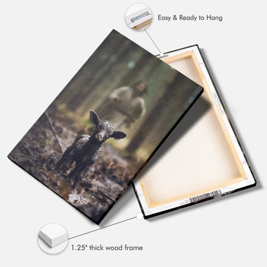 The Good Shepherd Rescues The Lost Sheep Jesus And Sheep Picture Christian Wall Art Canvas