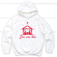 Christian Christmas gifts: Love came down Jesus born Christian hoodie White / S
