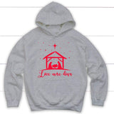 Christian Christmas gifts: Love came down Jesus born Christian hoodie Sport Grey / S