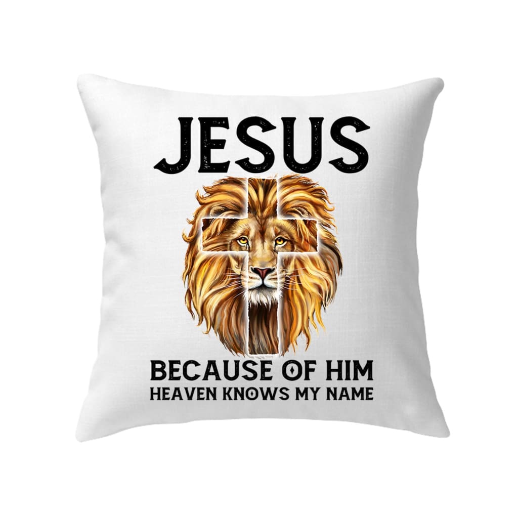 Jesus because of him heaven knows my name pillow Jesus pillows
