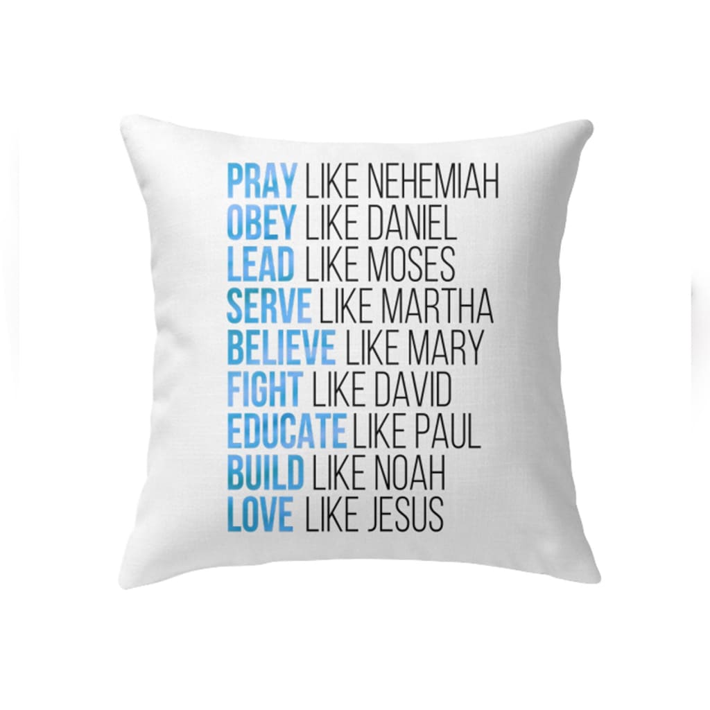 Pray like Nehemiah obey like Daniel Christian pillow Jesus pillows