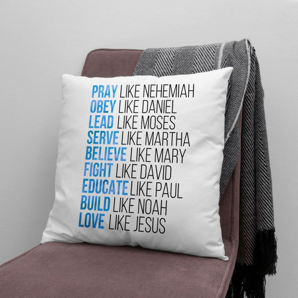Pray like Nehemiah obey like Daniel Christian pillow Jesus pillows