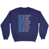 Pray like Nehemiah obey like Daniel sweatshirt Christian apparel sweatshirts Purple / S